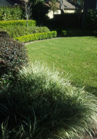 Horticultural Consultancy