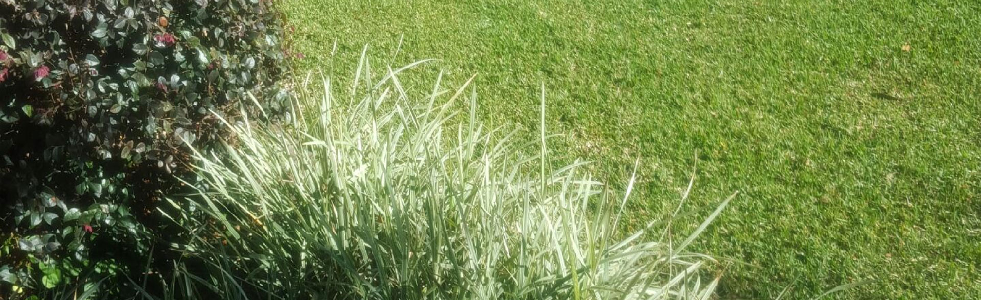 Horticultural Consultancy