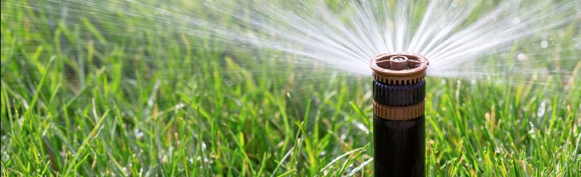 Irrigation