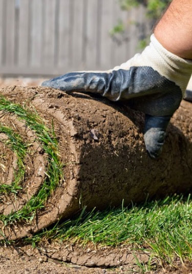 Turfing